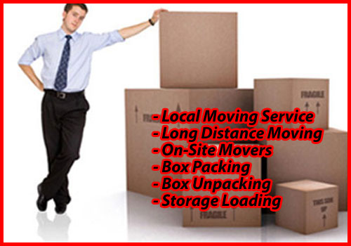 Packers And Movers Noida Sector 124